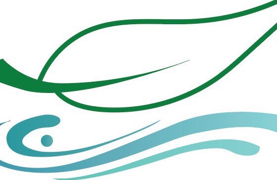 Logo footer